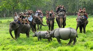 Elephant Ride