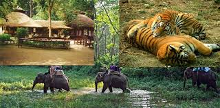 Kathmandu Chitwan Tour