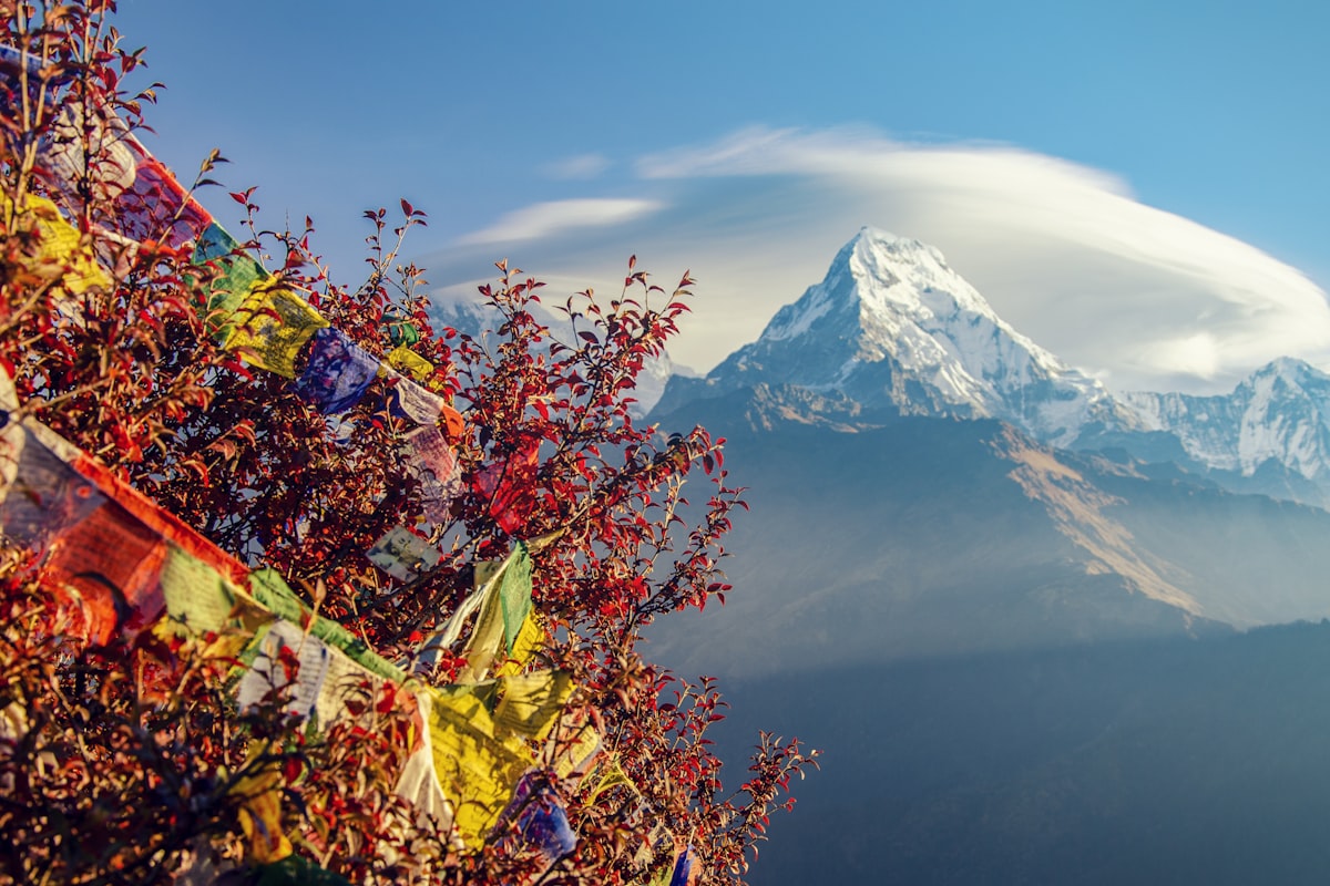 A Traveler's Guide to Nepal